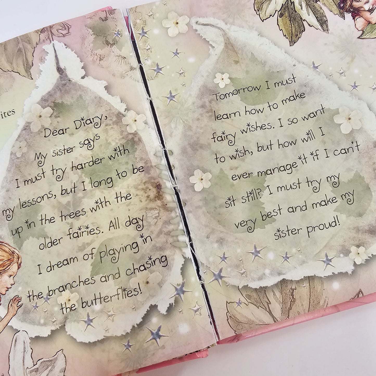 Vtg Flower Faries Friends Baby Blossom Makes a Wish (2004)