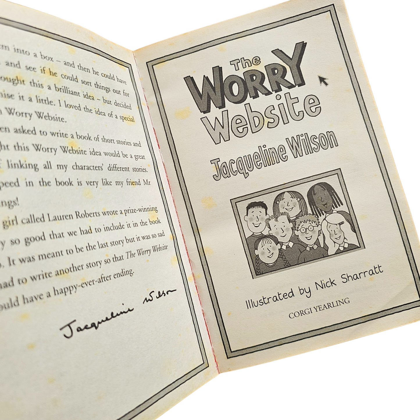 The Worry Website by Jacqueline Wilson (2008)