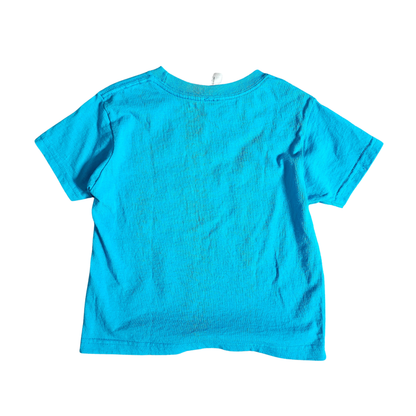 Minnesota Dr. Seuss Style Souvenir Shirt (Sz 3/4)